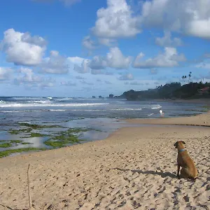 Round House Barbados